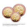 The 2022 St George and the Dragon Bi-Metallic Gold Prestige Infill Sovereign Set